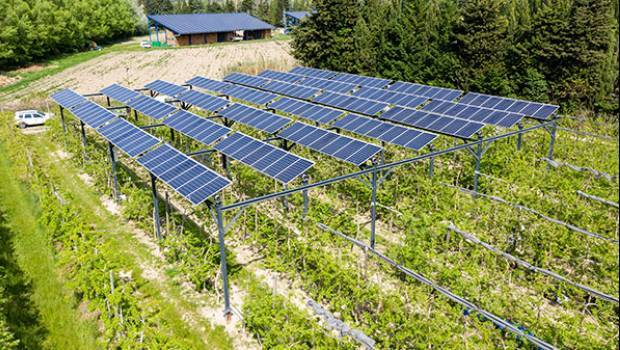 avantages environnementaux de l'agrivoltaïsme