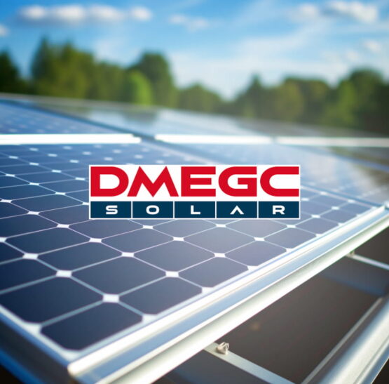 panneaux solaires photovoltaiques dmegc